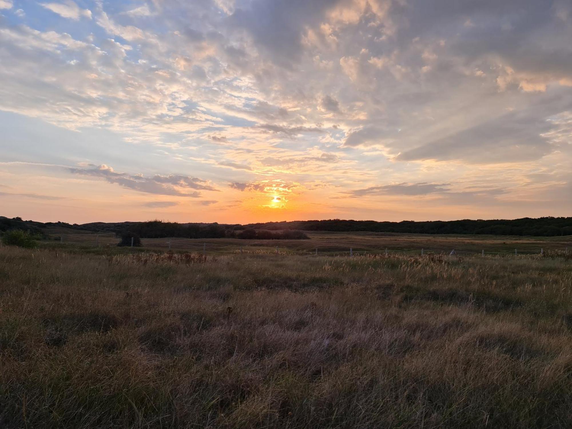 Olmenduin Chalet Olm Zeeland 塞罗斯凯尔克 外观 照片