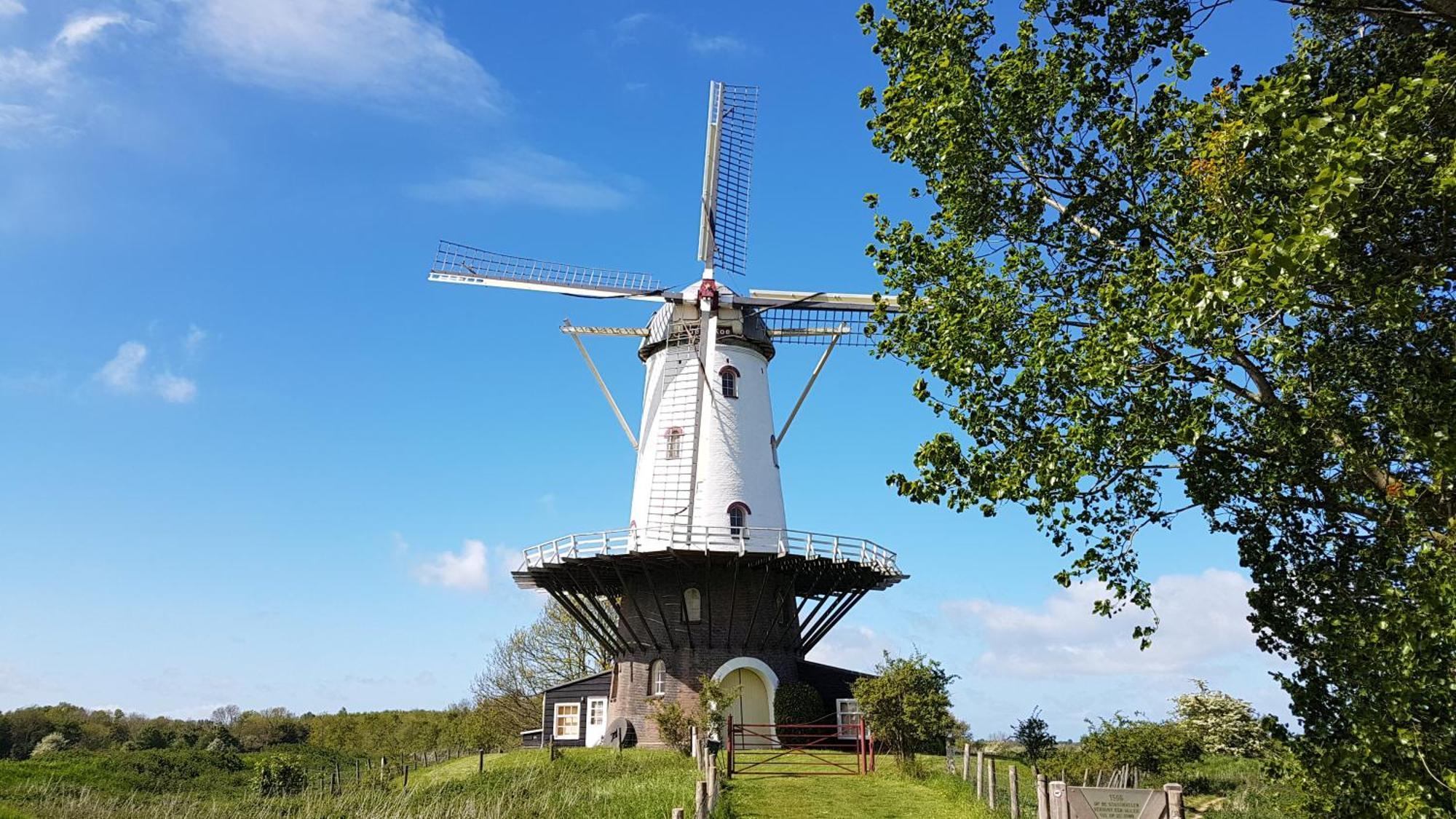 Olmenduin Chalet Olm Zeeland 塞罗斯凯尔克 外观 照片